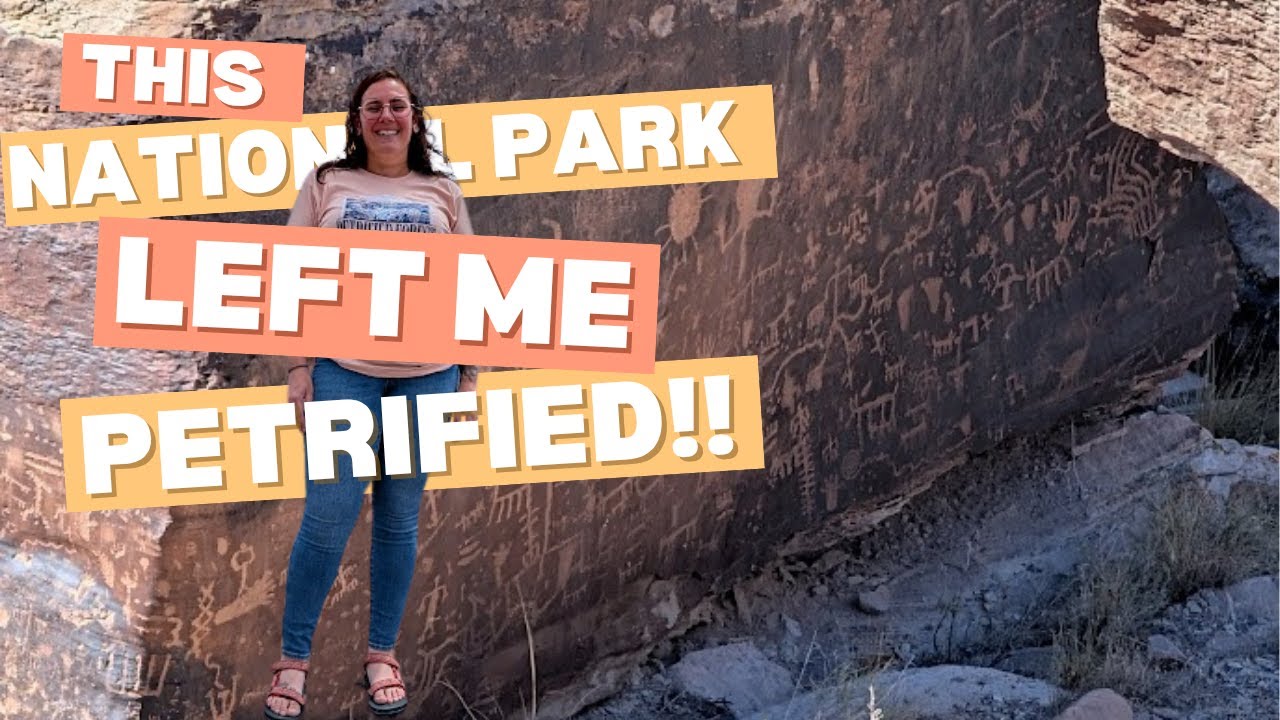 Dig for Your Own Petrified Wood?!