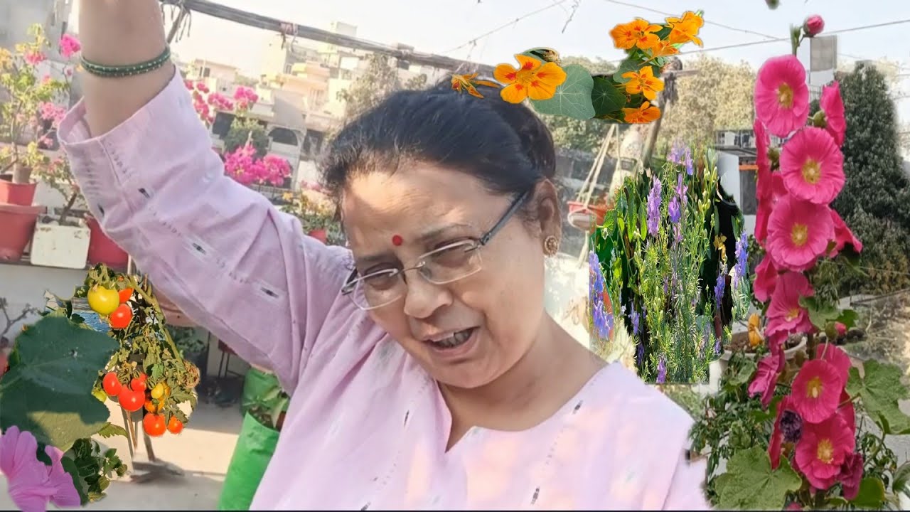 कैसे होली के रंग मेरी बगिया के संग वो भी कम पैसे में economical colourful terrace garden 