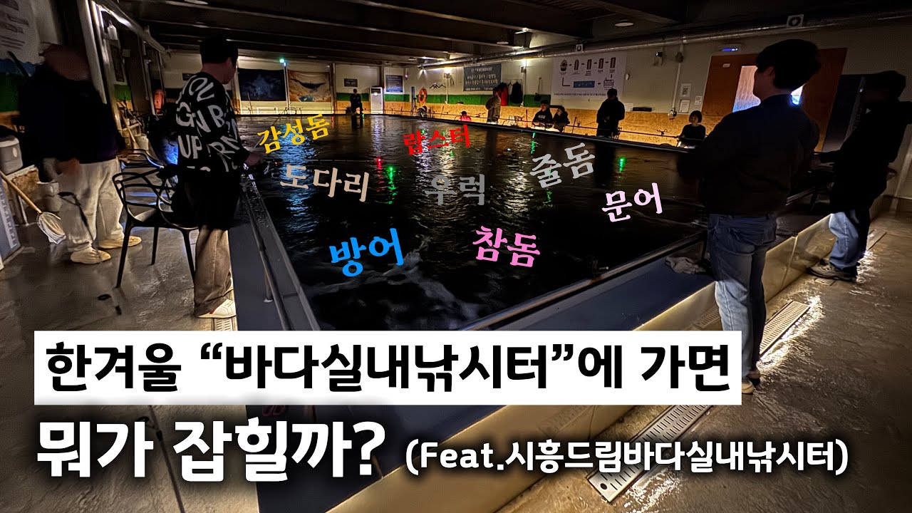 바다실내낚시터가서 대물손맛 보고왔습니다!!