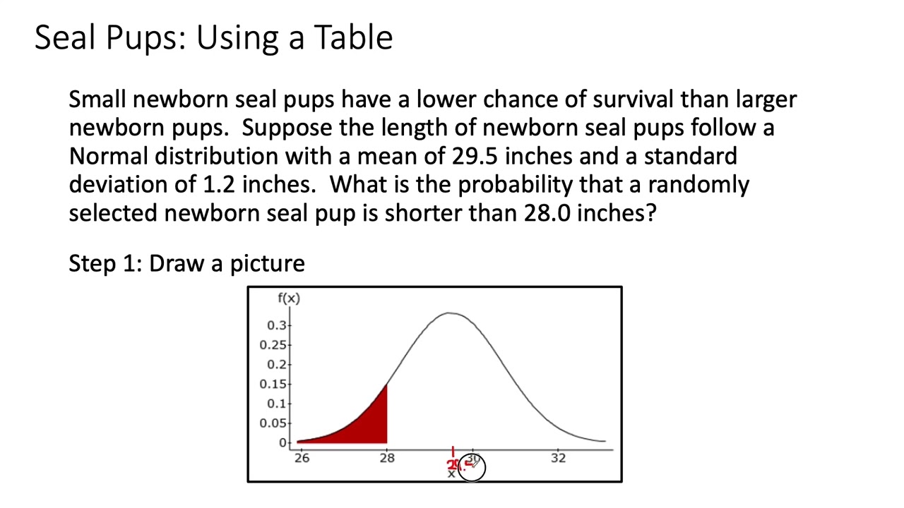 Ch6d   The Normal Model Part 2