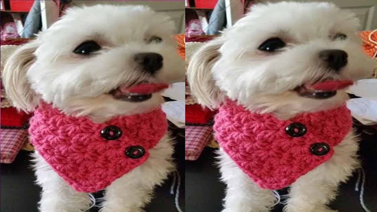 ROPITA Y TRAJECITOS PARA PERROS Y GATOS TEJIDOS A CROCHET