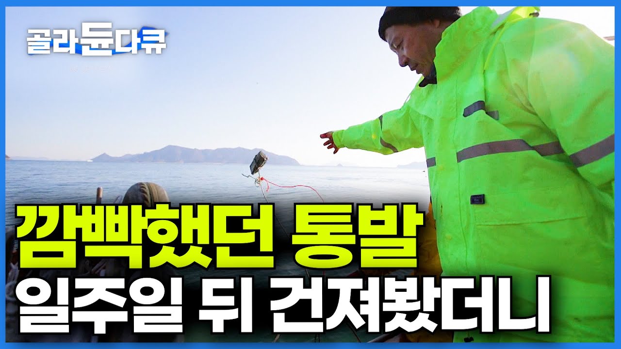 초짜 어부도 먹고살기 충분하다는 통발 낚시. 잊고 살다가 일주일 뒤에 건져봤다ㅣ한국기행ㅣ#골라듄다큐