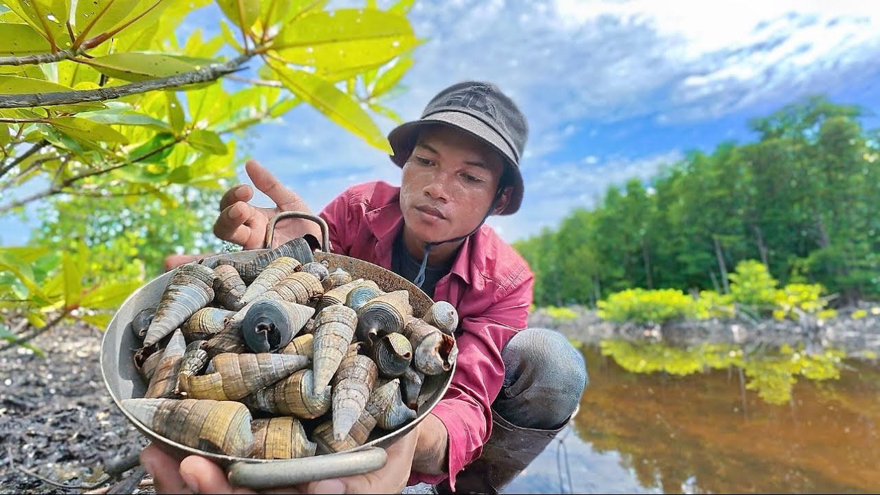 ស្គាល់បន្លែព្រៃនិង ខ្យងសមុទ្រប្រភេទនេះទេ | Do You Know These Wild Plants & Sea Shells?