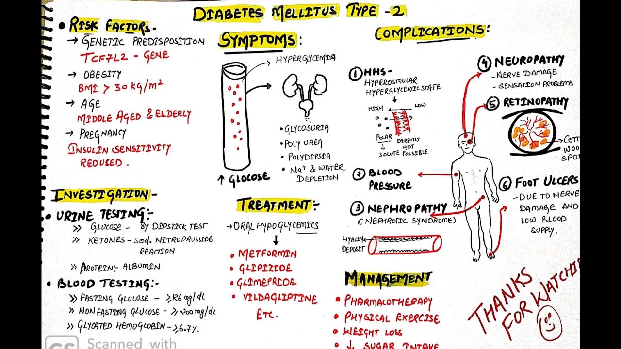 Diabetes mellitus type-2 (NIDDM) | pathophysiology, symptoms, complications and management