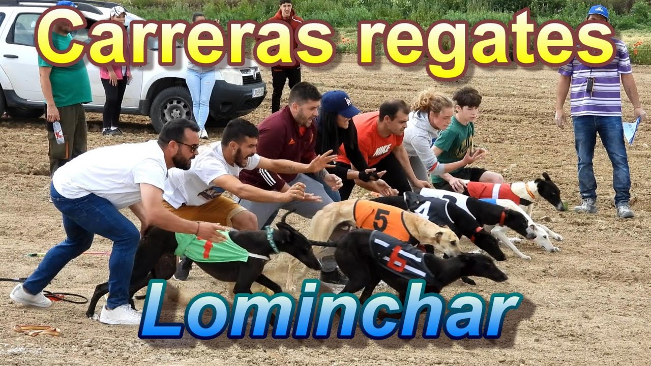 Carreras de regates en Lominchar, domingo 15 de Mayo 2022