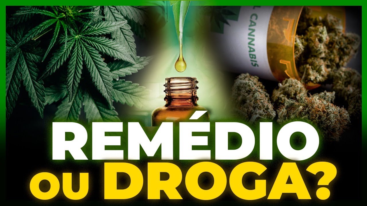 Maconha: Remédio Milagroso ou Planta Venenosa?