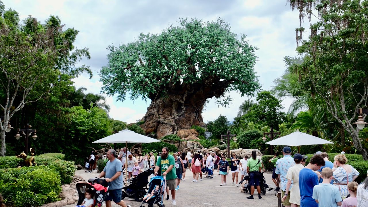Disney's Animal Kingdom 2025 Afternoon Walkthrough in 4K | Walt Disney World Florida September 2025