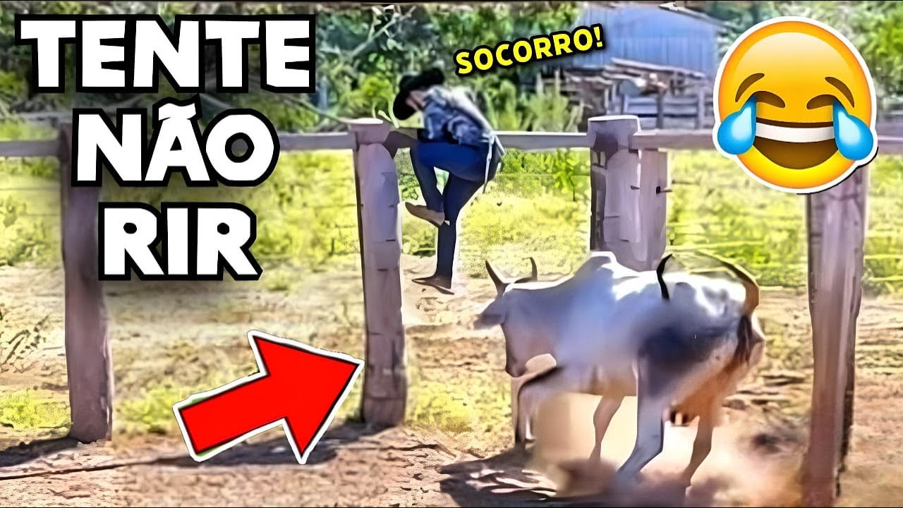 TENTE NÃO RIR 😂 OS MEMES MAIS ENGRAÇADOS DA INTERNET #videosengracados #tentenaorir #memes #comedia