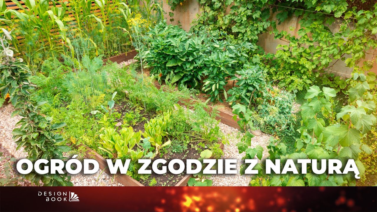 Ogr&oacute;d permakulturowy - gł&oacute;wne zasady