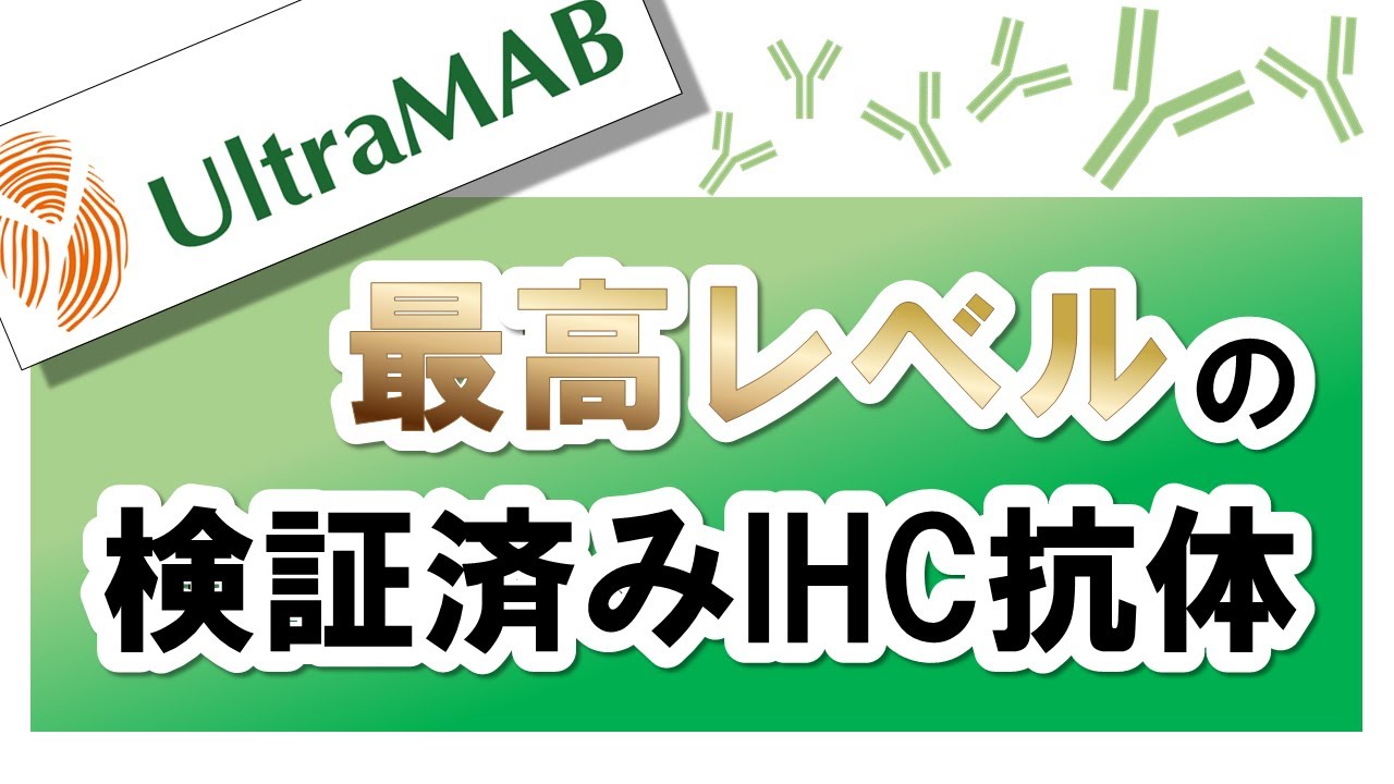 OriGene社 最高レベルの検証済みIHC抗体 UltraMABのご紹介