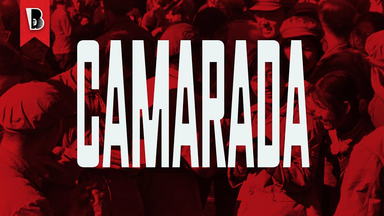 O retorno da camaradagem | Jodi Dean