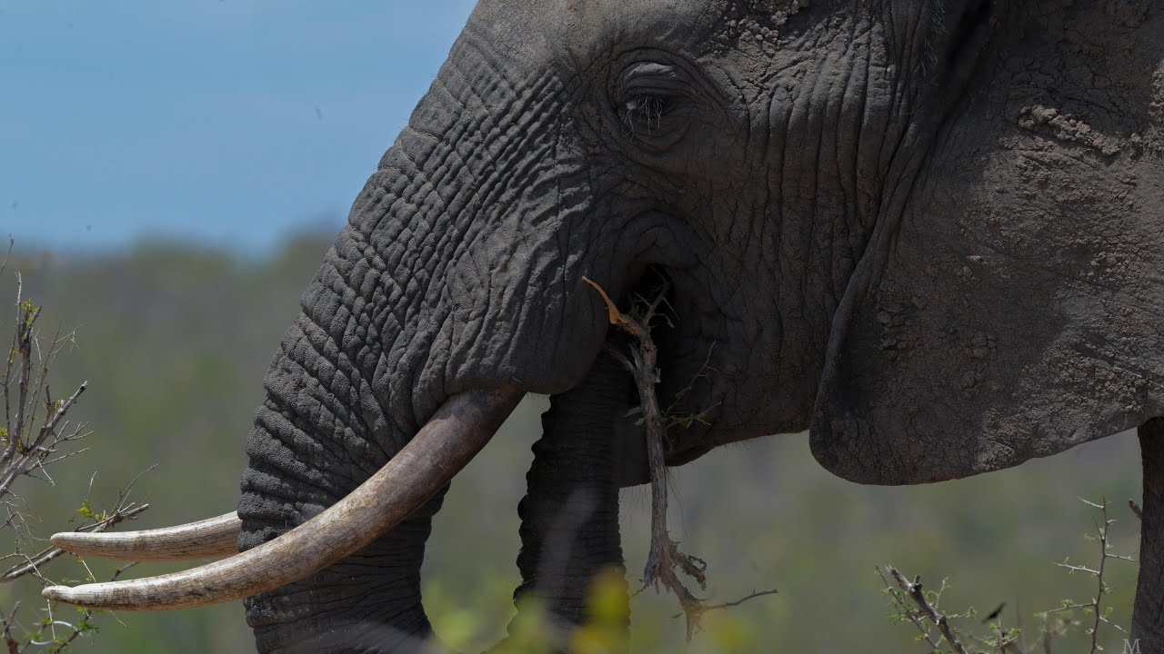 Dji Mavic 3 Cine & Nikon Z9  |  Enduring Hope - Daniel Deuschle .