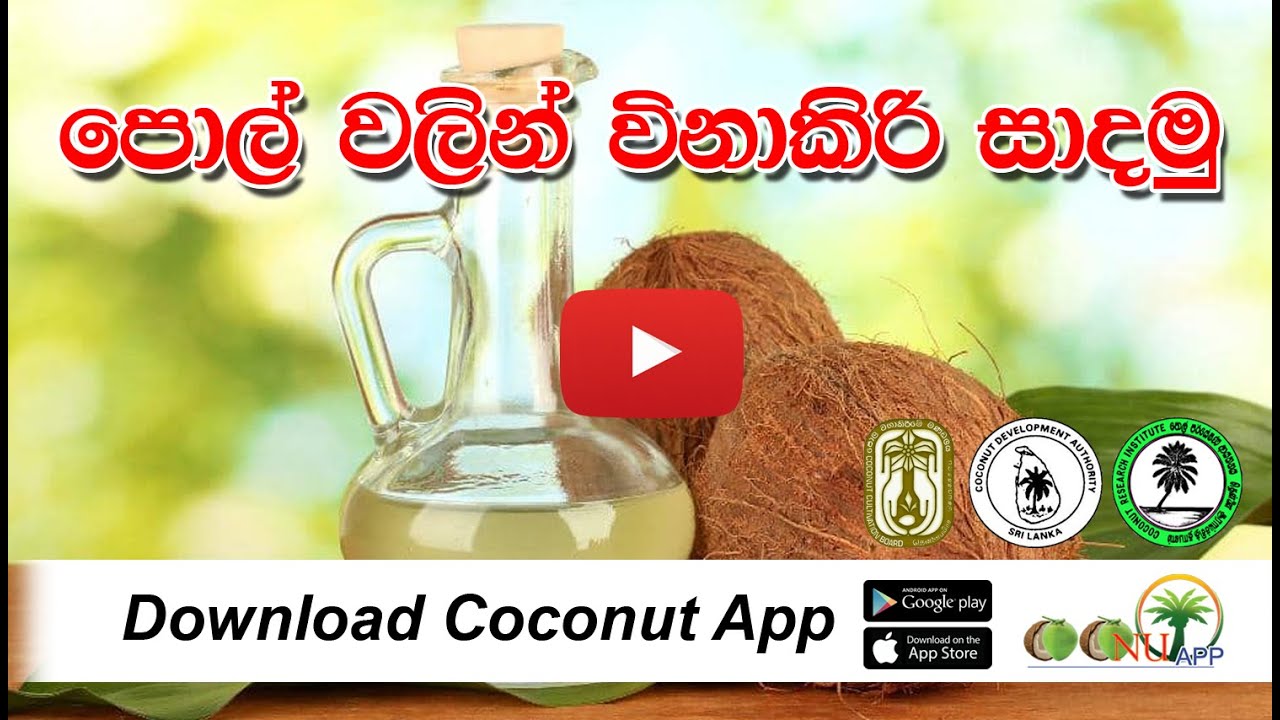 පොල් වලින් විනාකිරි සාදමු - Coconut Vinegar