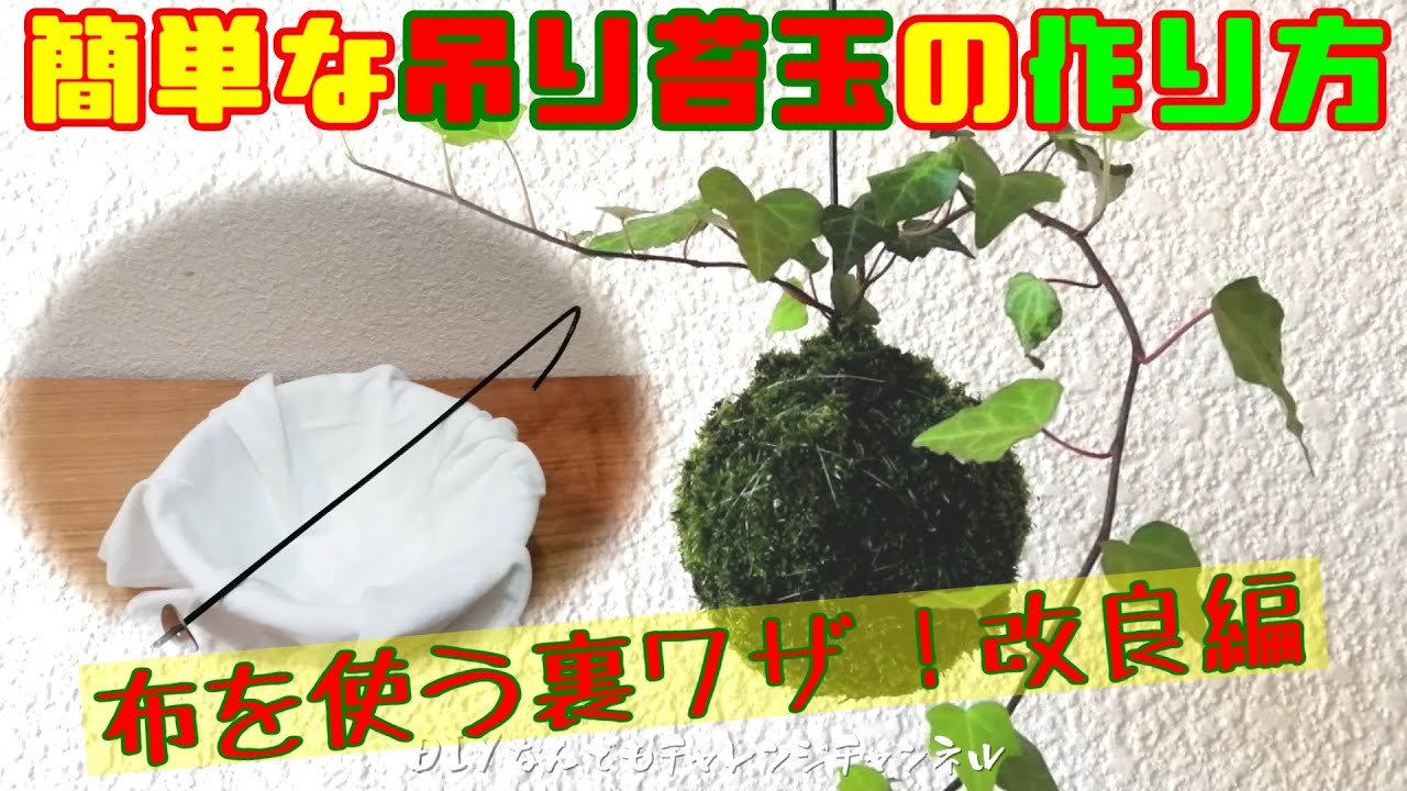 【苔玉の作り方】初心者でもつるしが簡単に出来る方法！ケト土、水苔不要の作り方！
