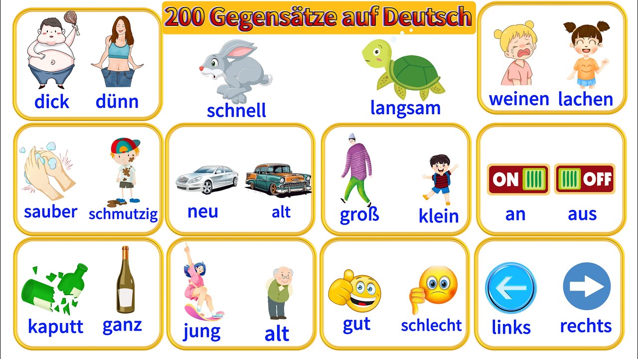 Mach dein Deutsch besser: Dezember Highlights | Deutsch Lernen | A1-B1