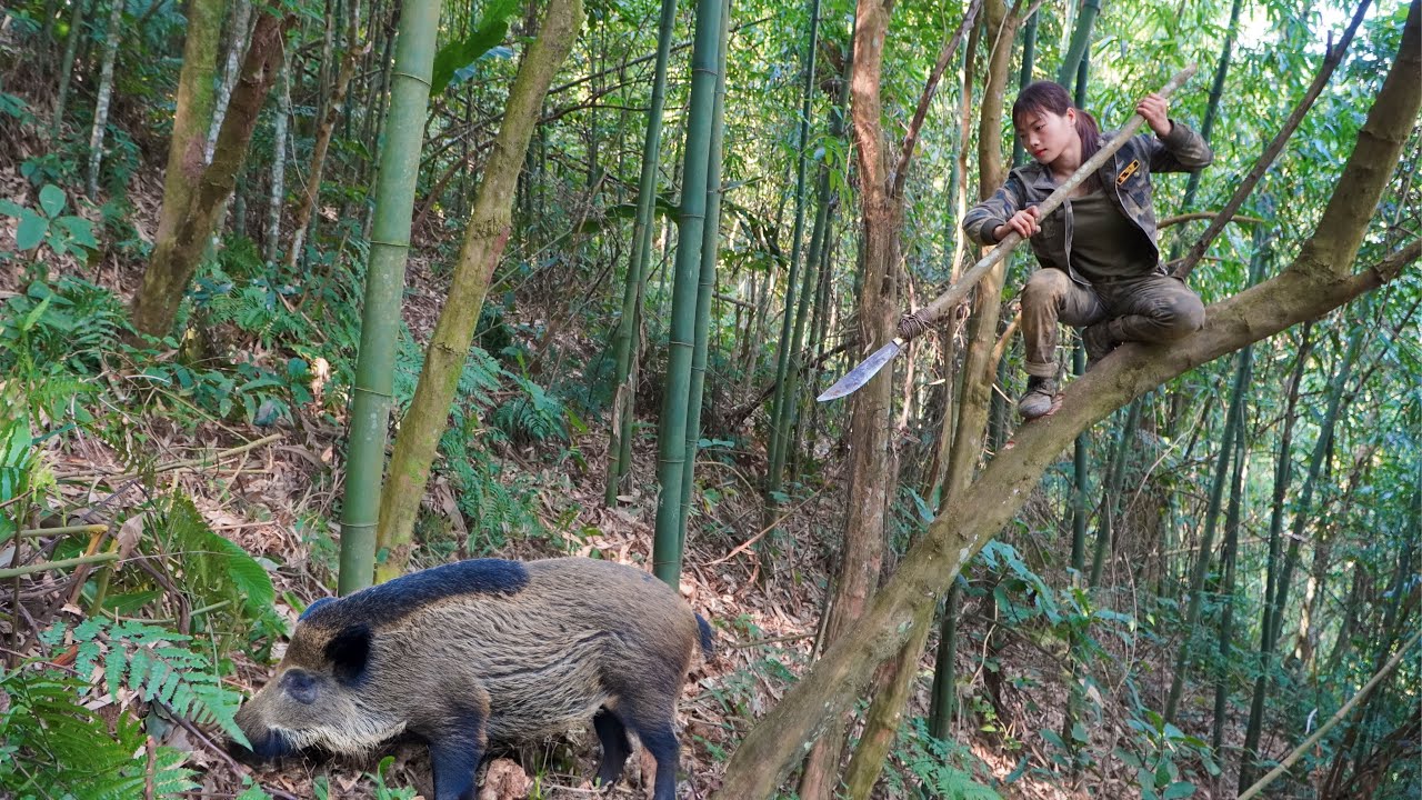 detect, track, wild boar, skills, set wild boar traps, survival alone