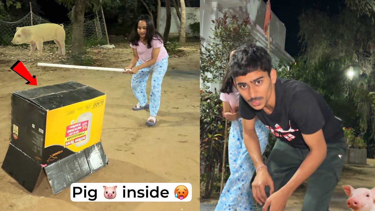 Junglee suar 🐷 pakda gaya box 📦 ke andar 🥵