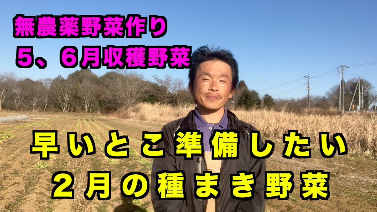 【2月種まき野菜】　無農薬野菜栽培成功したい