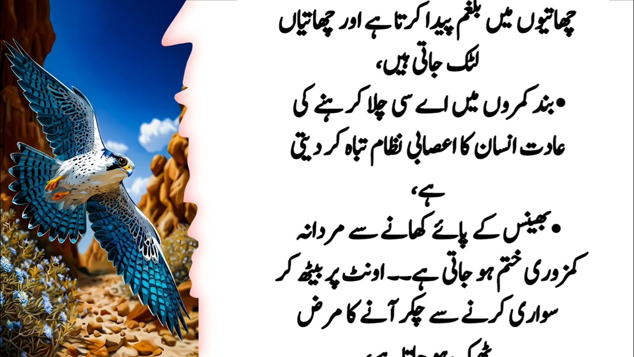 Quotes About life | Motivational Islamic Quotes | Golden Words | Rumi Quotes | Hazrat Ali Quotes