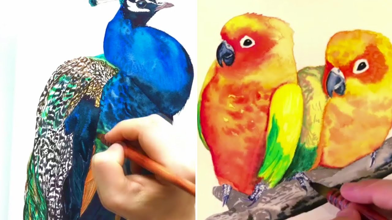 Amazing Watercolor Painting Compilation - MUST SEE