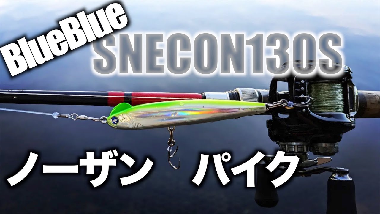 BlueBlueのスネコン130Sでフランスのノーザンパイクを釣ることは果たして出来るのか！？