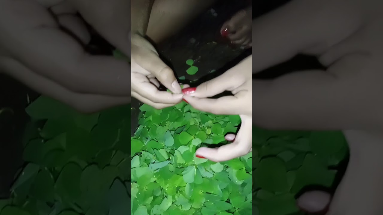 Green nutrients