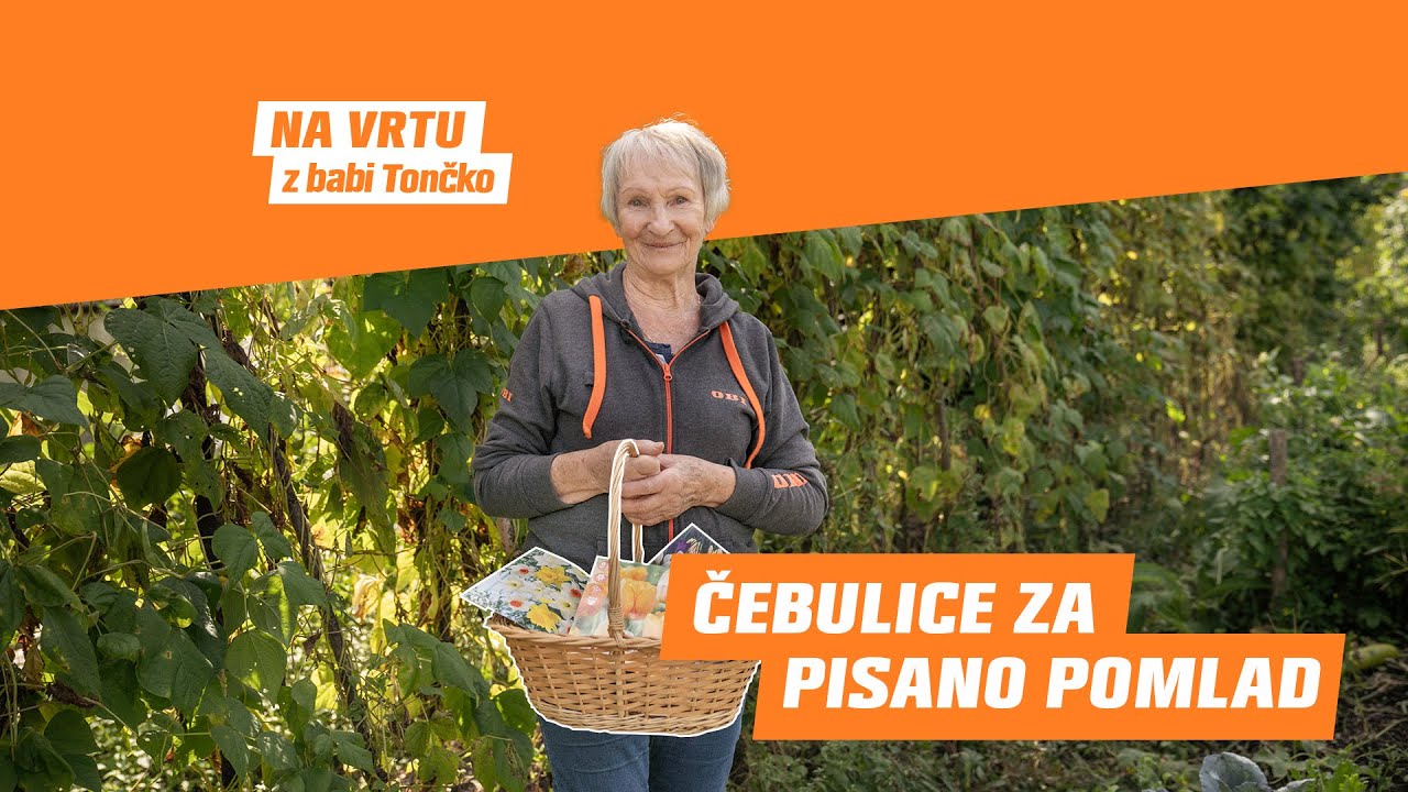 🌱 NA VRTU Z BABI TONČKO // SAJENJE SPOMLADANSKIH ČEBULIC