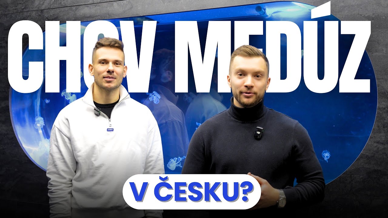 TENTO BYZNYS DĚLAJÍ JEN 3 LIDI NA SVĚTĚ!