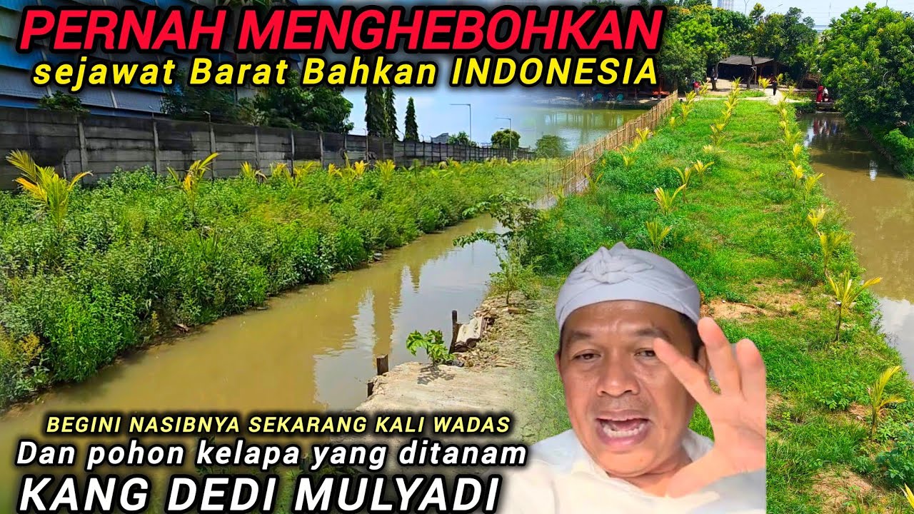 INI DIA NASIB KALI WADAS KOLAM AJO SEKARANG❗️RUMPUT MAKIN TINGGI KELAPA BARU DITANAM KELELEP❗️