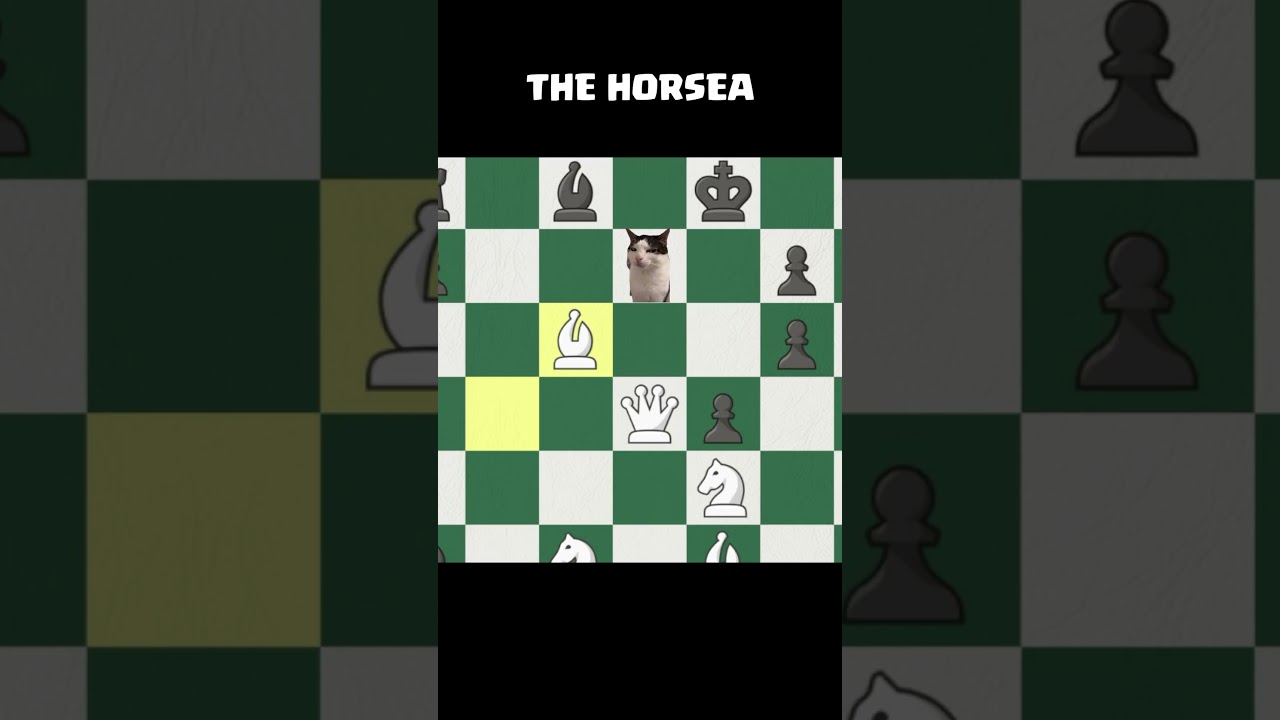NICE PONY #chess #chessmemes
