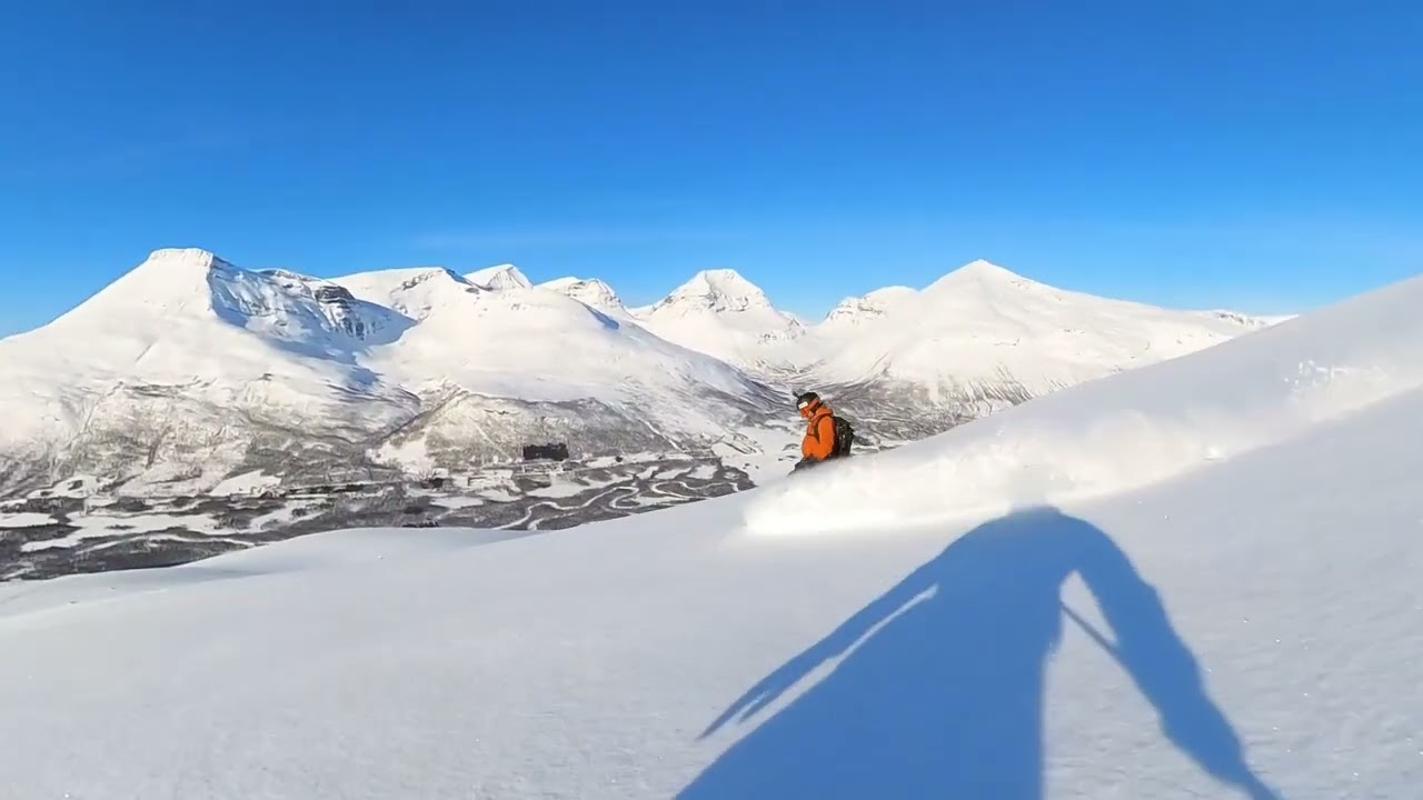 Tamokdalen 2023