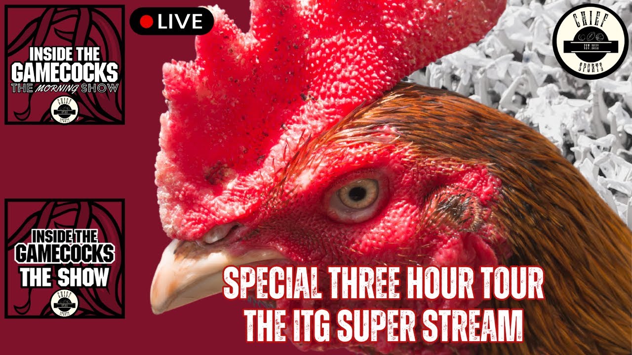 Gamecocks Live: Football Trasnfer Sustains Injury | Baseball Grabs Two Wins | Hoops