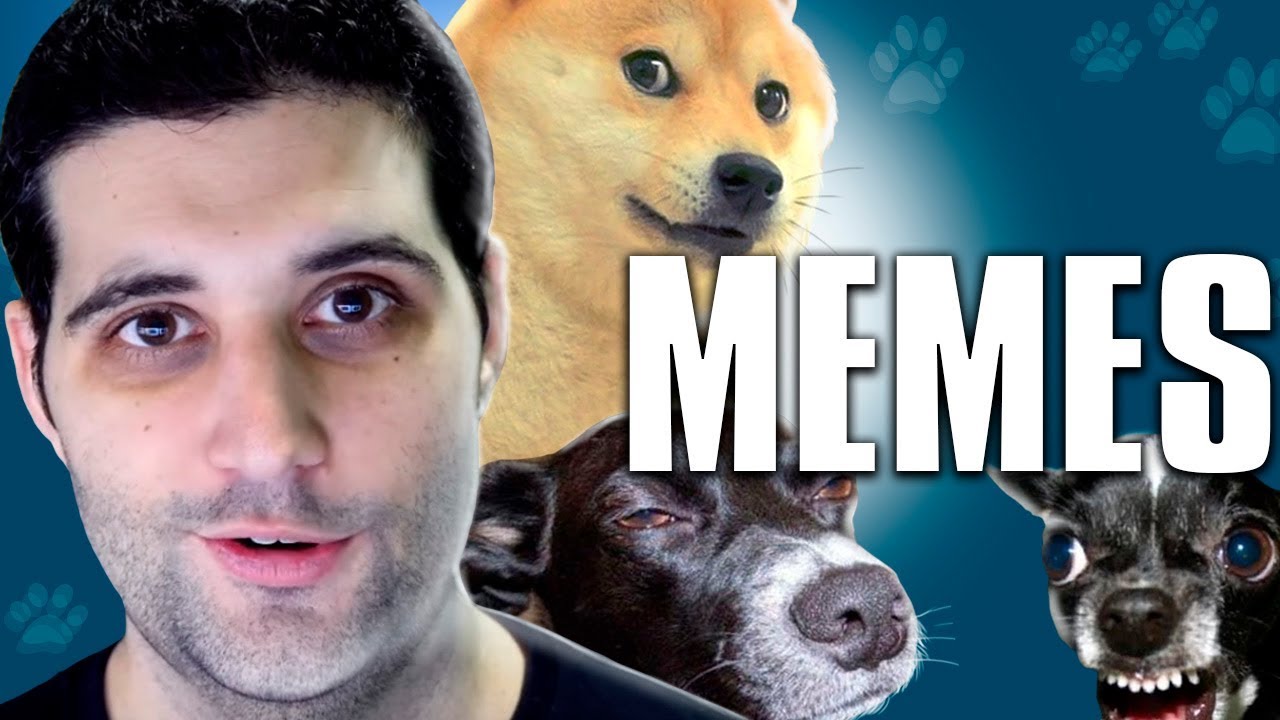 TENTE NÃO RIR COM MEMES DE CACHORRO