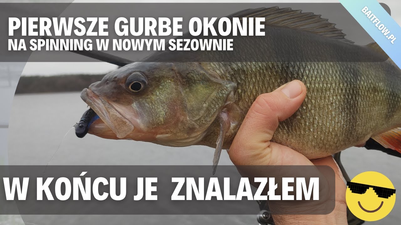Pierwsze Grube Okonie w tym sezonie! Odnalazłem je choć łatwo nie było Baitflow