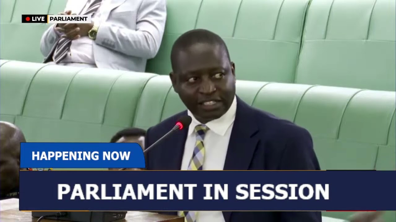 LEGISLATORS DEBATE THE TAX INCOME AMENDMENT BILL
