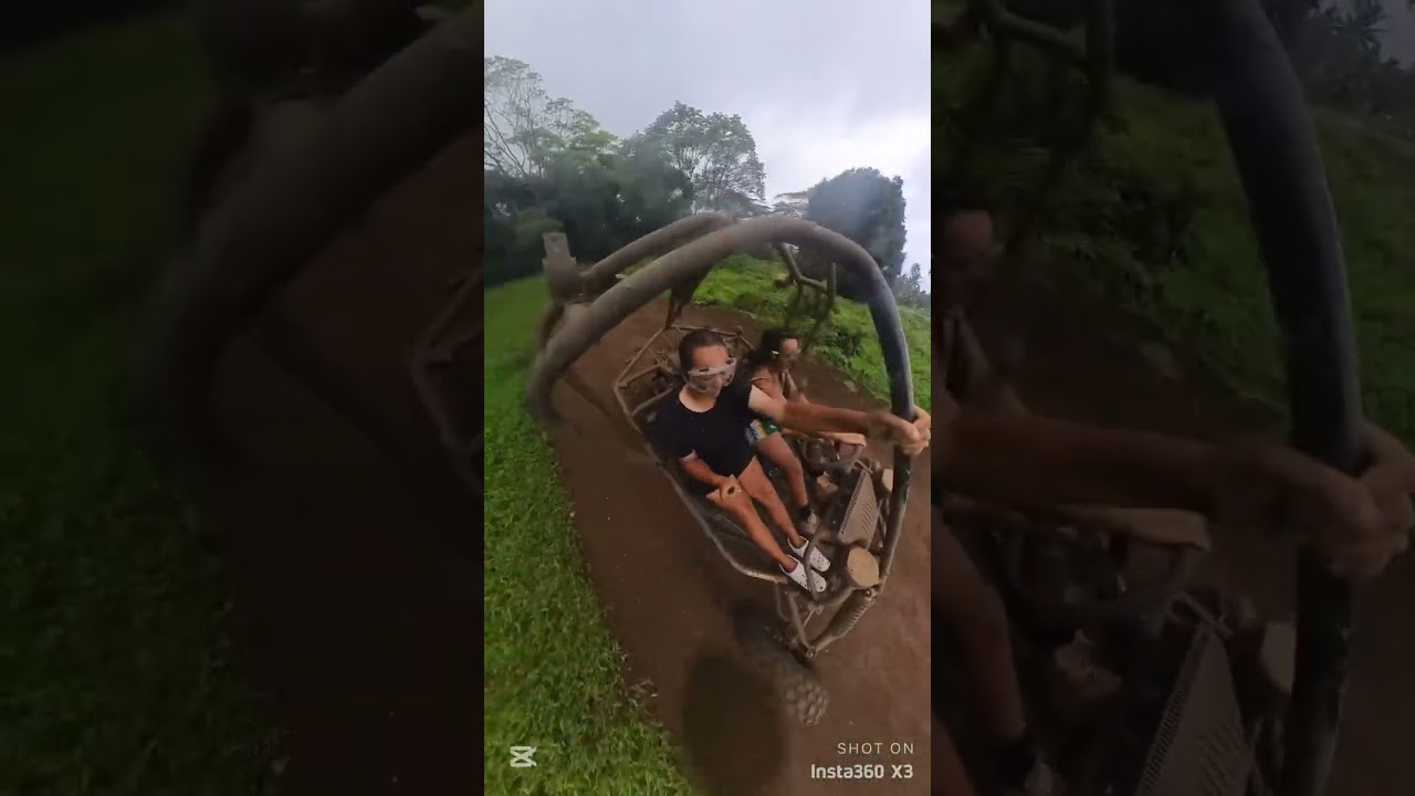 Buggy Tours Raro
