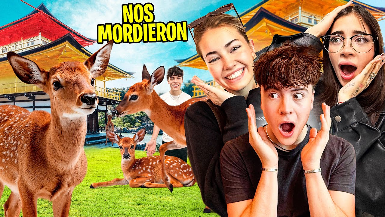 ALIMENTANDO CIERVOS en JAPÓN 🇯🇵(con KATTEYES)