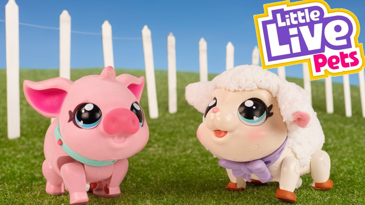 LITTLE LIVE PETS Adoptez un Cochon et un petit Agneau Mon Petit Mouton My Pet Pig
