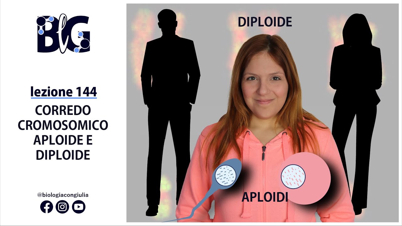 CORREDO CROMOSOMICO APLOIDE e DIPLOIDE
