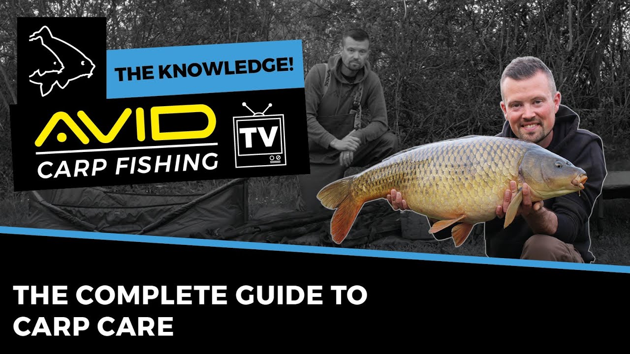 THE COMPLETE GUIDE TO CARP CARE | Carp Fishing (The Knowledge)