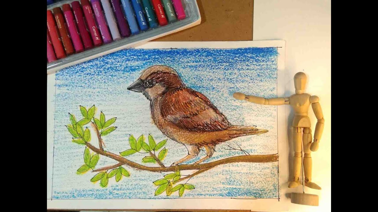 Simple Sparrow Drawing For Kids| Step-by-step tutorials 🎨🤩