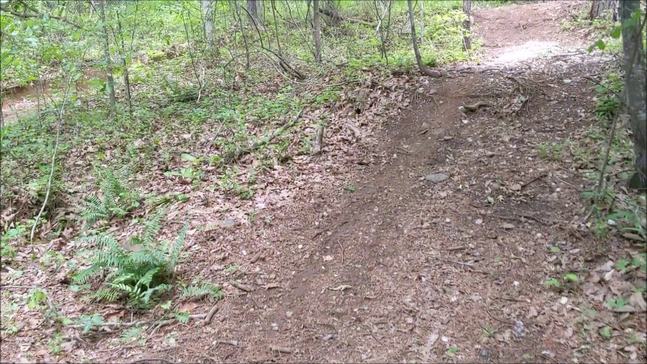 Yellow River Park Dayhike in Gwinnett County GA