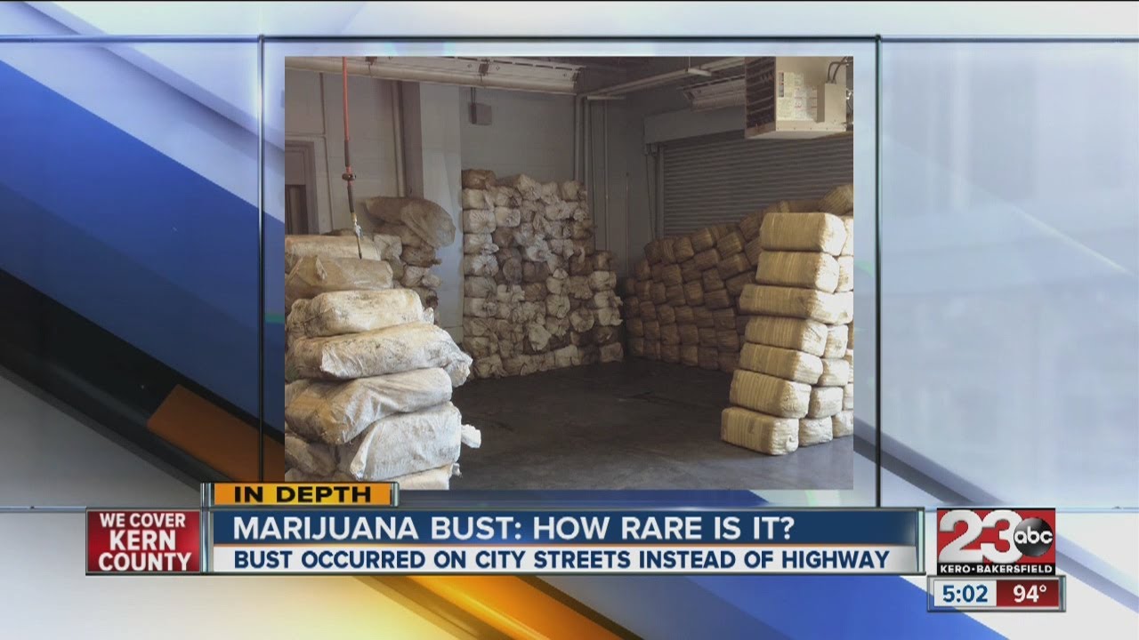 Largest pot bust in Bakersfield