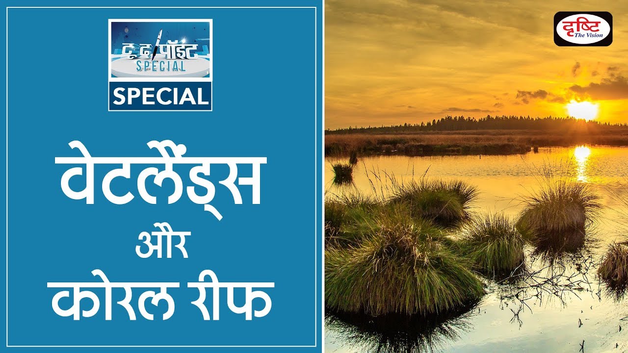 Wetlands and Coral Reef - To The Point Special