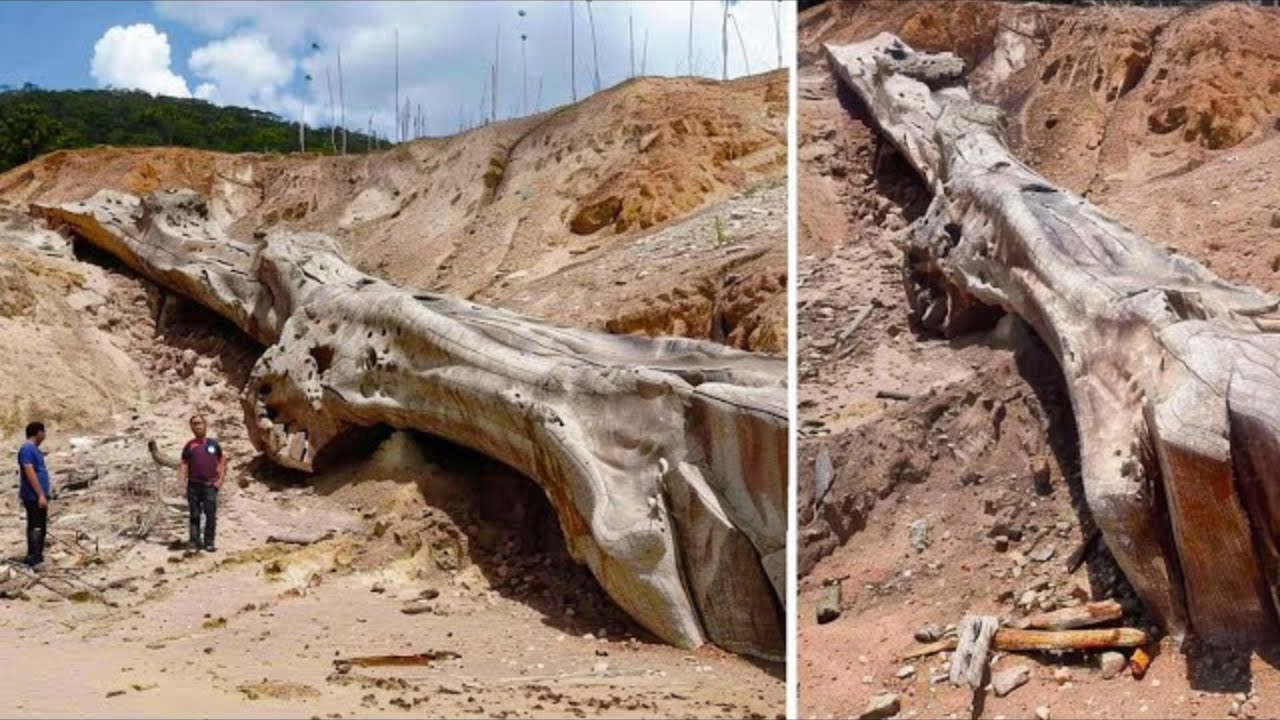 Arkeologit Ja Historiantutkijat Kiellettiin N&auml;iden L&ouml;yt&ouml;jen Tutkimisesta!