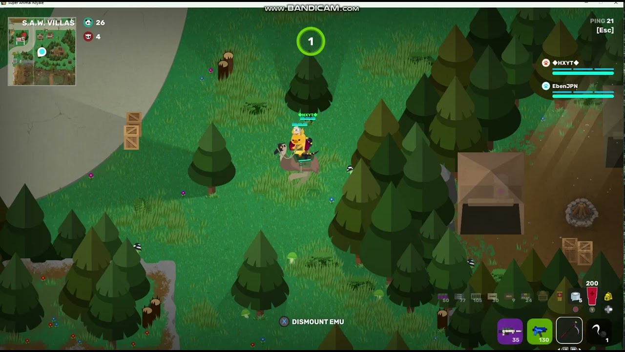 Playing Super Animal Royale With HXYT!