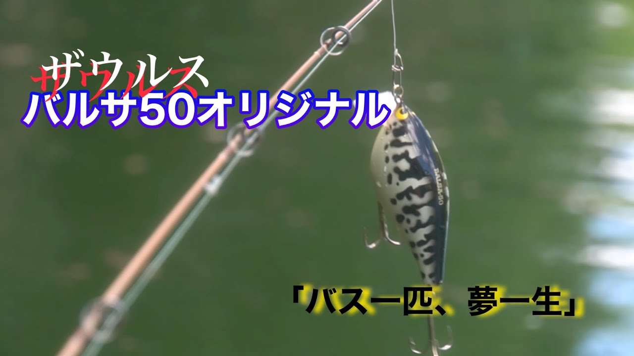 バルサ50/則弘祐/ザウルス
