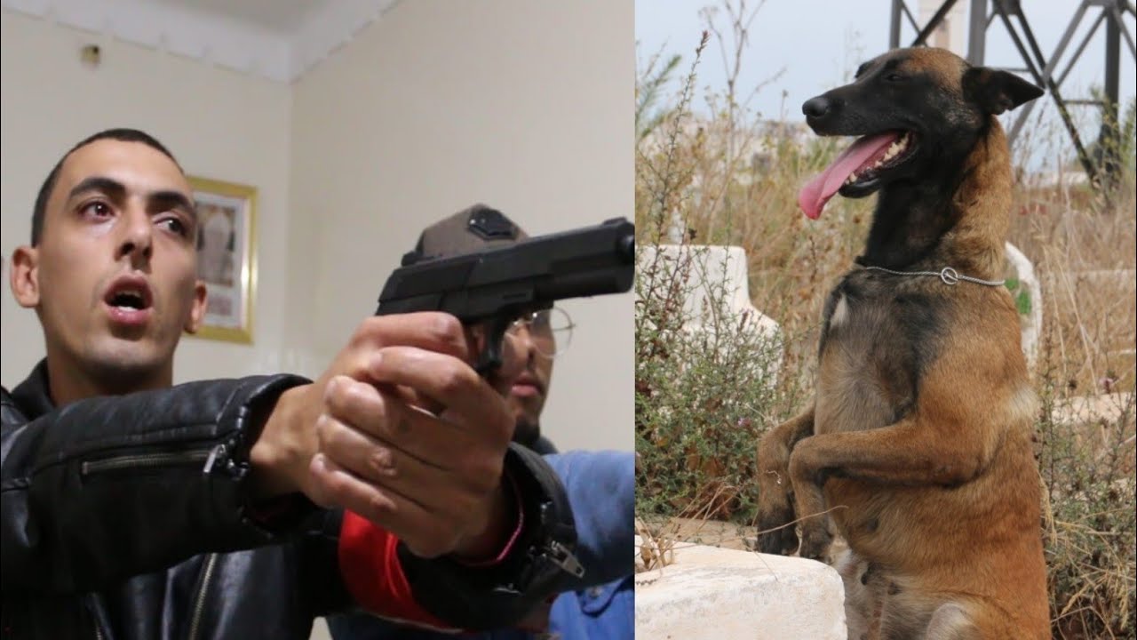 الكلب الوفي و الشرطي ..يستحق المشاهدة