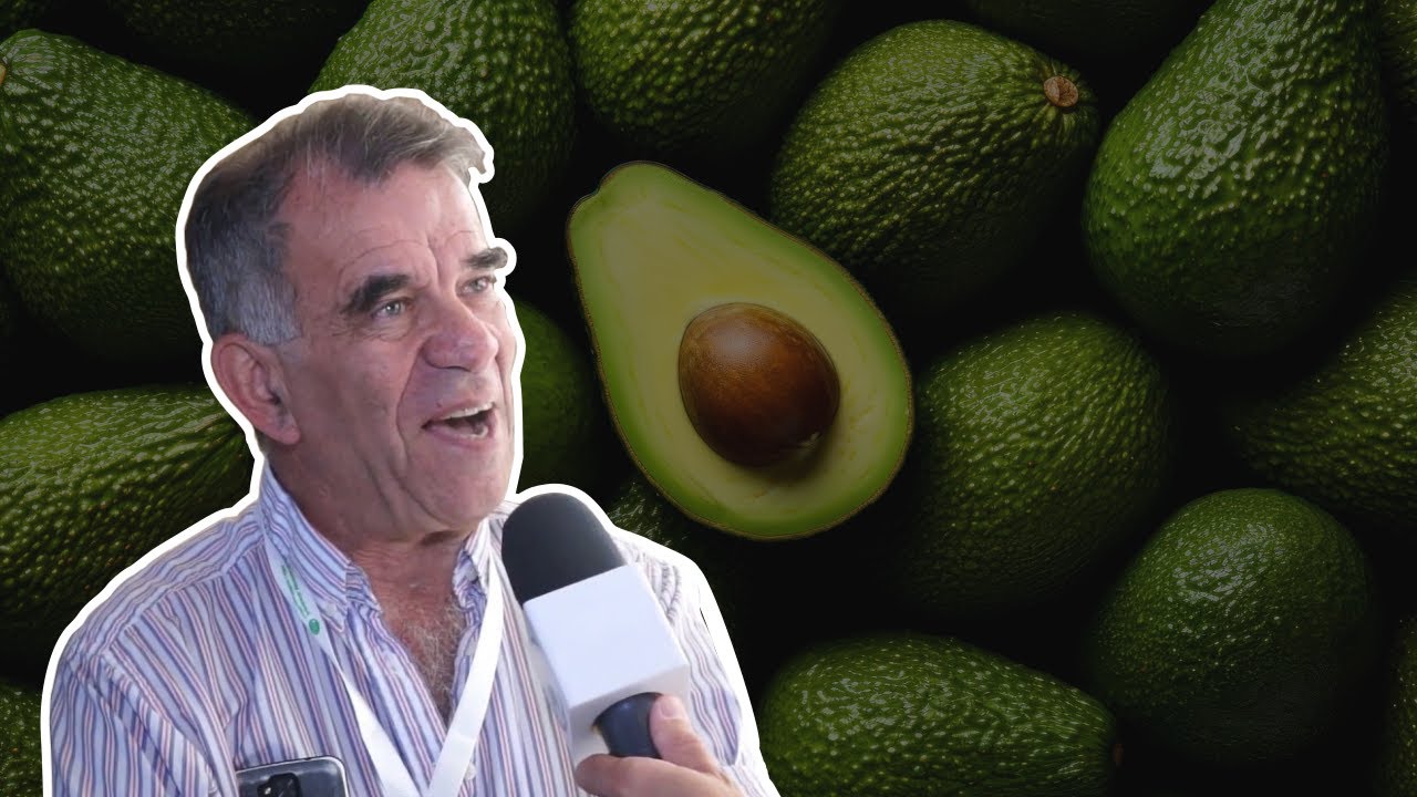 Palta en Argentina
