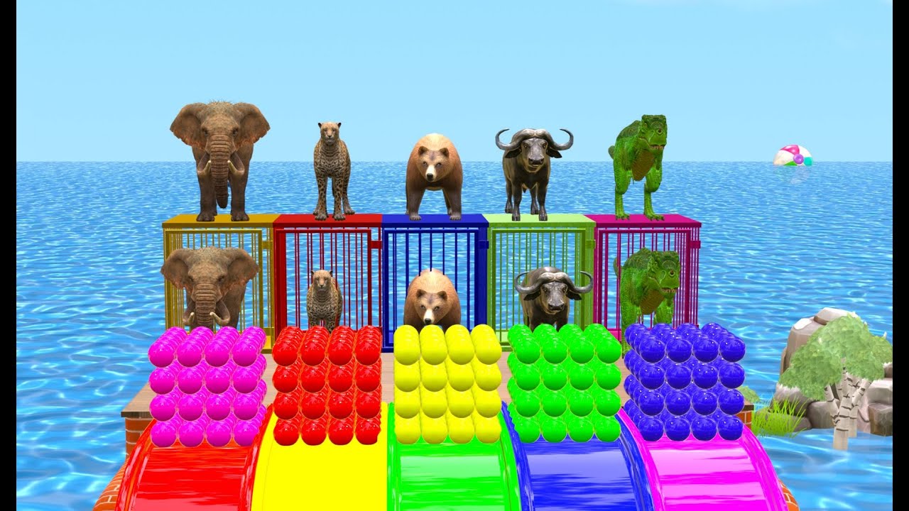 Long Slide Game With Cow Elephant Gorilla Hippopotamus Tiger 3d Animal Game Funny 3d Animals
